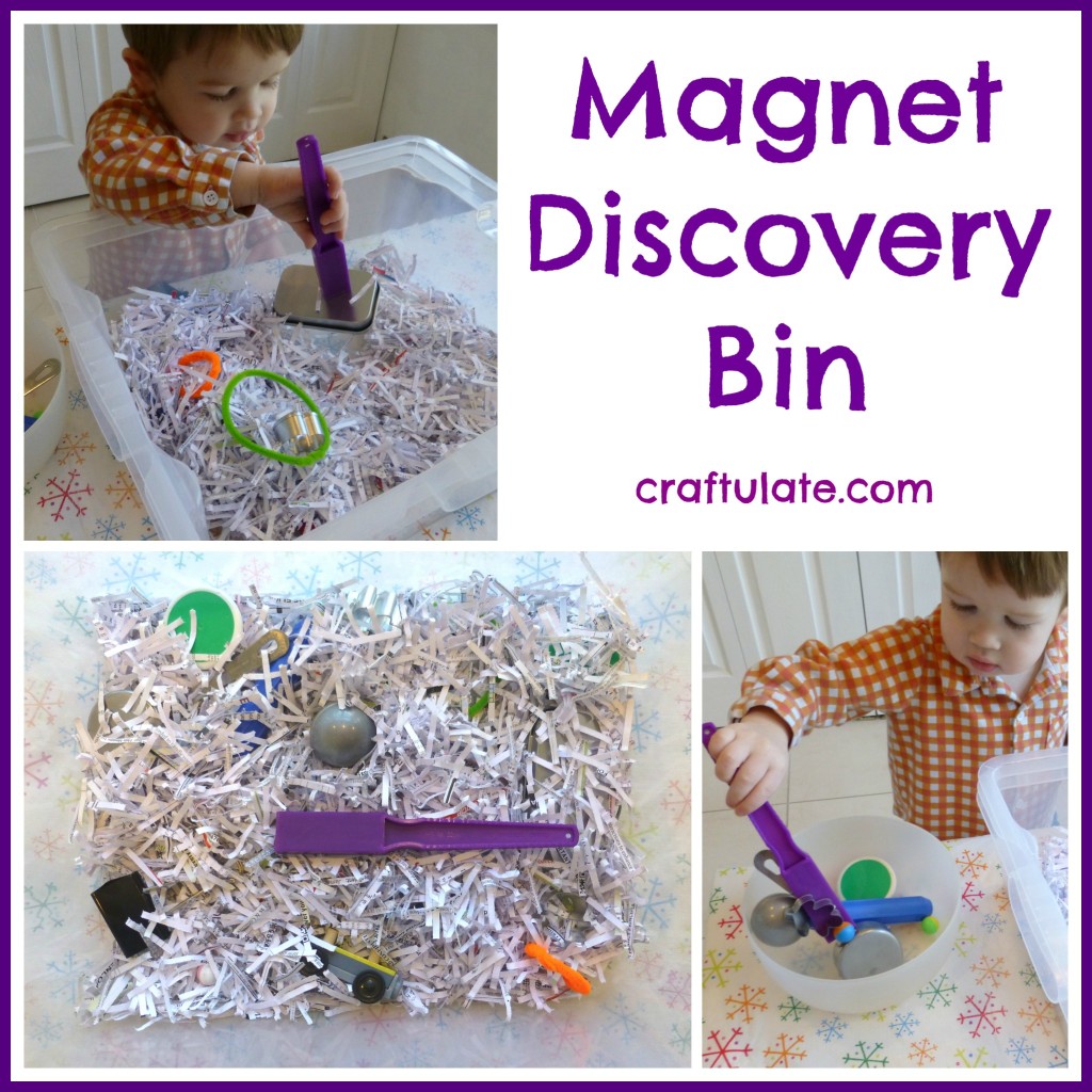 Magnet Discovery Bin